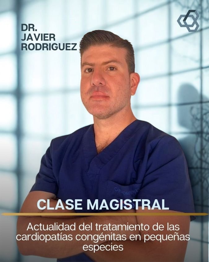 veterinario